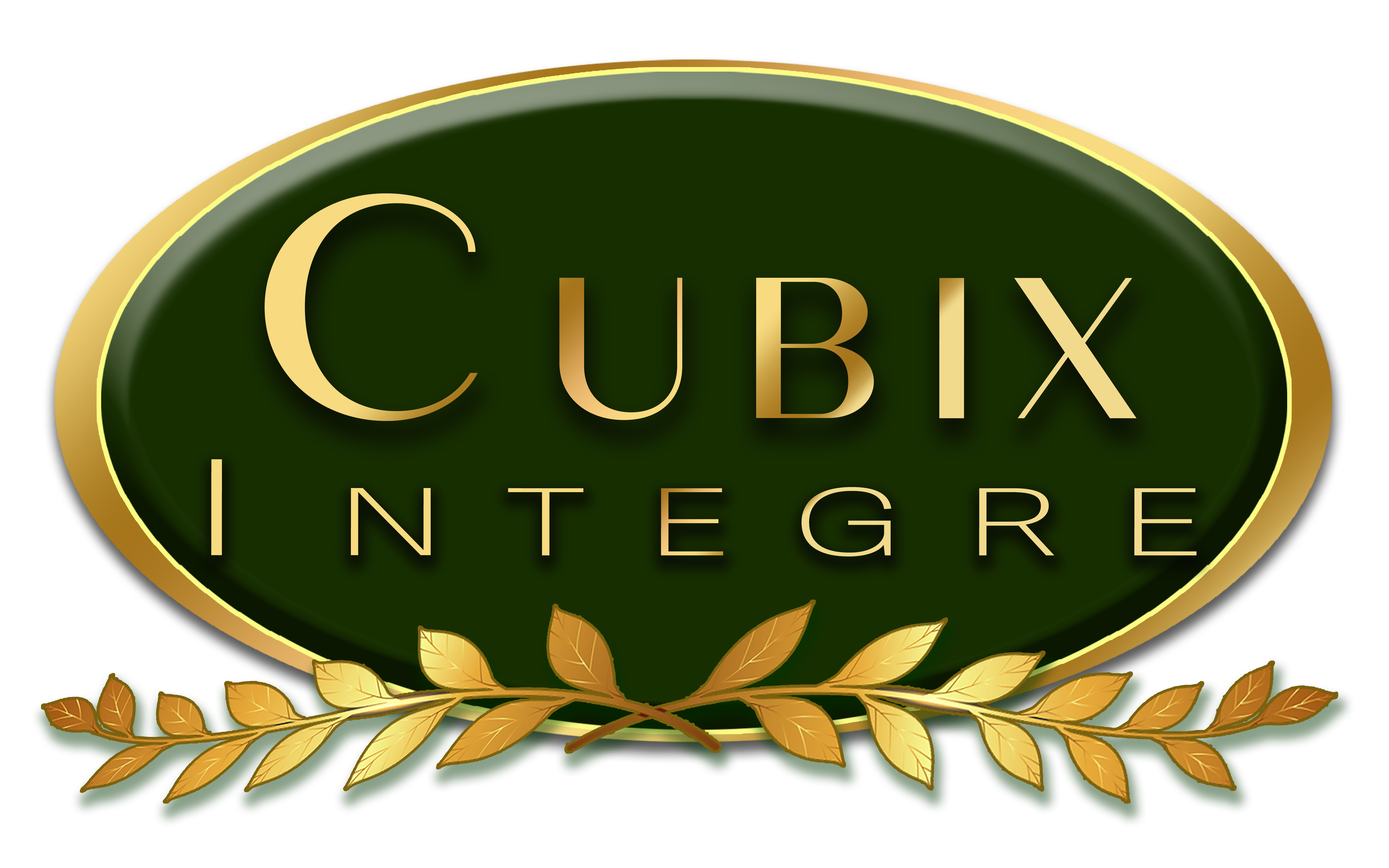 Cubix Integre Events